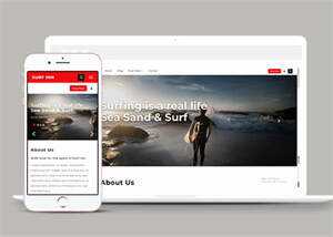 海上冲浪旅游项目网站模板下载 - 网创&网赚 项目教学