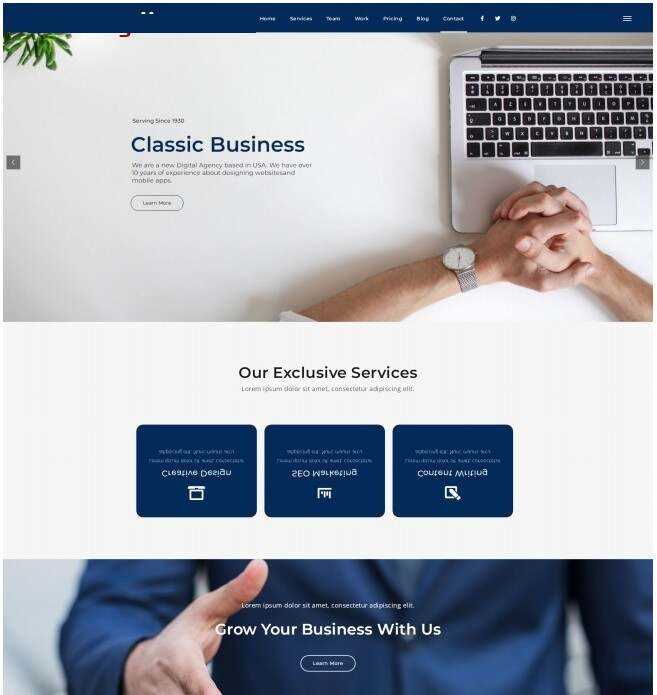 品牌设计数据营销机构网站模板 - 网创&网赚 项目教学