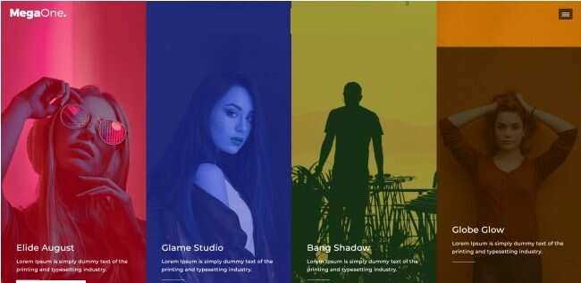 演唱会嘉宾宣传介绍网页模板 - 网创&网赚 项目教学