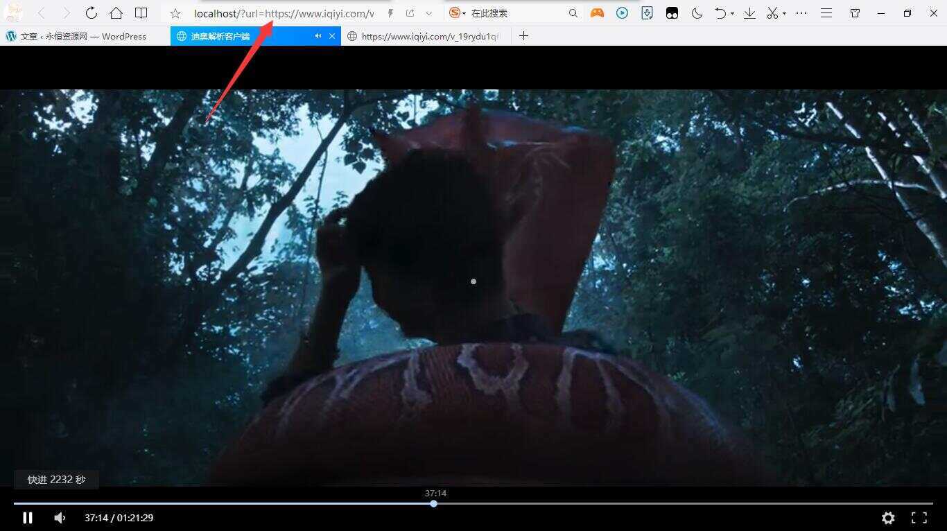 迪奥VIP视频解析客户端PHP源码 - 网创&网赚 项目教学