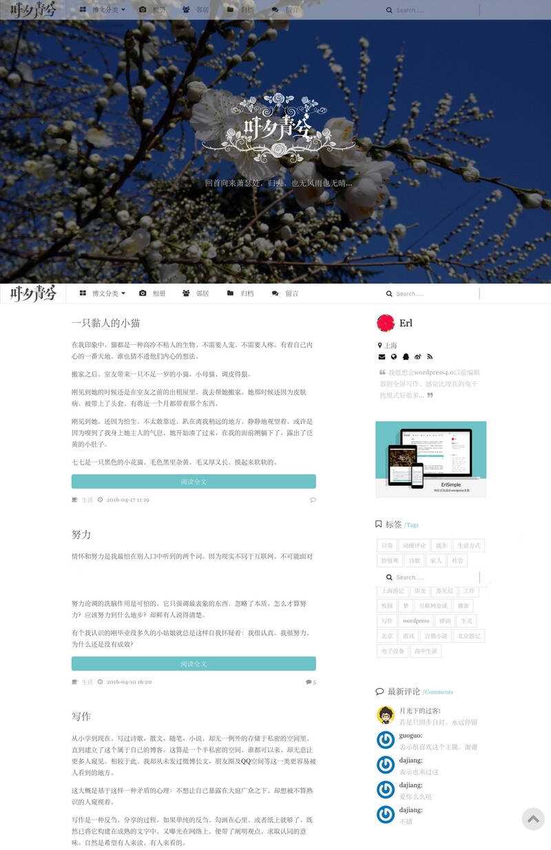 wordpress极简优秀的博客主题–ErlSimpleV1.5主题 - 网创&网赚 项目教学
