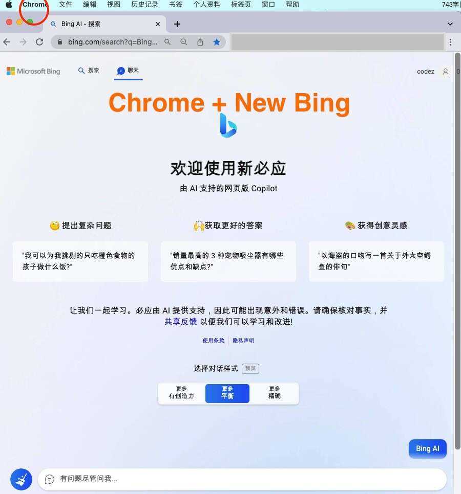 微软New Bing完美聊天机器人源码，支持ChatGPT提示词 国内可用，基本兼容微软 Bing AI 所有功能 - 网创&网赚 项目教学