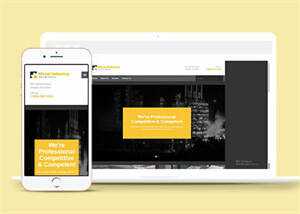 企业大客户HTML5网站模板下载 - 网创&网赚 项目教学