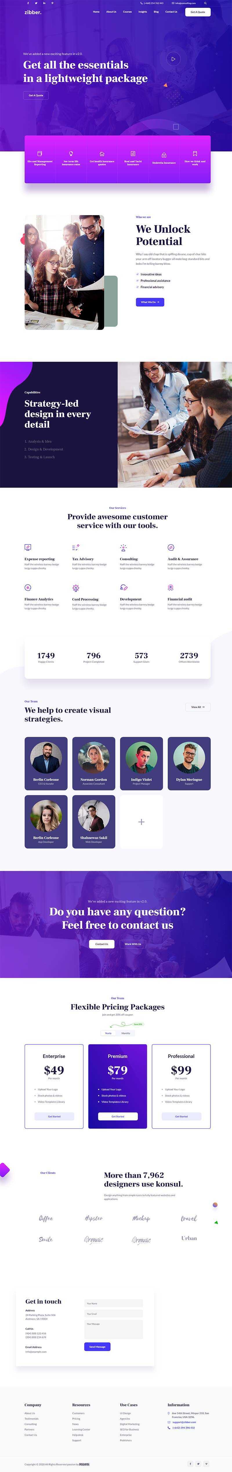 蓝紫色商务投资咨询公司html模板 - 网创&网赚 项目教学