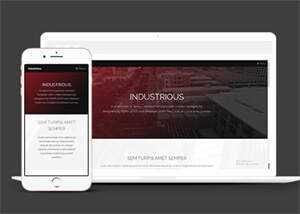 响应式前端框架skin网站模板 - 网创&网赚 项目教学