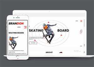 宽屏滑板体育产品企业网站模板 - 网创&网赚 项目教学