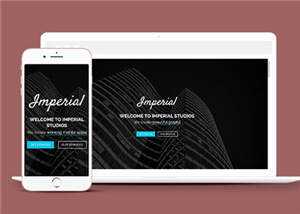 平面设计创意工作室响应式网页模板 - 网创&网赚 项目教学