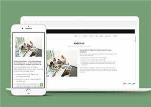 网页设计优化机构响应式网页模板 - 网创&网赚 项目教学