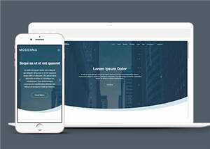 企业业务案例展示响应式网页模板下载 - 网创&网赚 项目教学