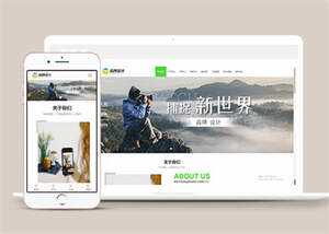 宽屏广告品牌设计类网站模板源码 - 网创&网赚 项目教学