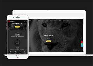 简洁品牌设计建设类网站前端模板 - 网创&网赚 项目教学