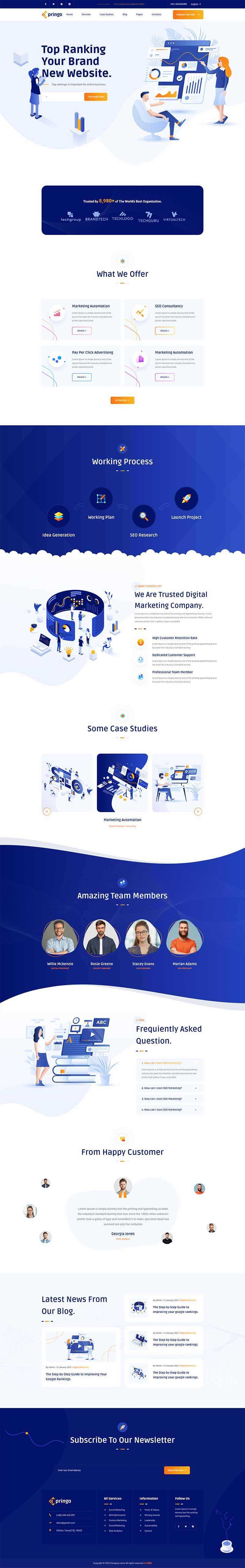 SEO营销咨询服务公司网站html模板 - 网创&网赚 项目教学