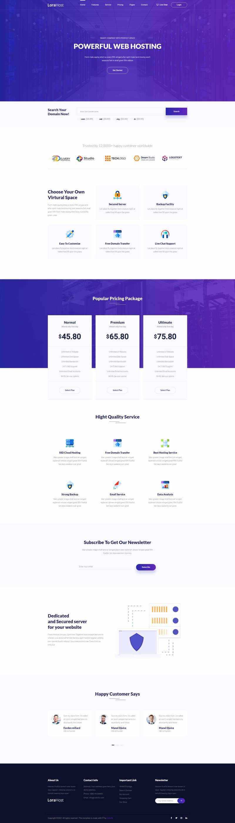 紫色的虚拟主机域名托管服务网站html模板 - 网创&网赚 项目教学
