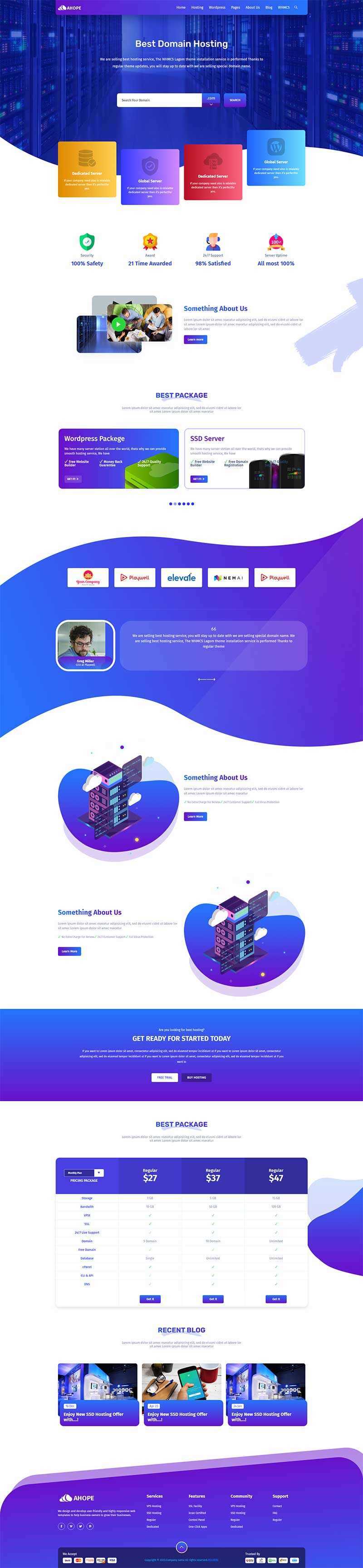 蓝色风格域名服务器托管服务公司网站html模板 - 网创&网赚 项目教学