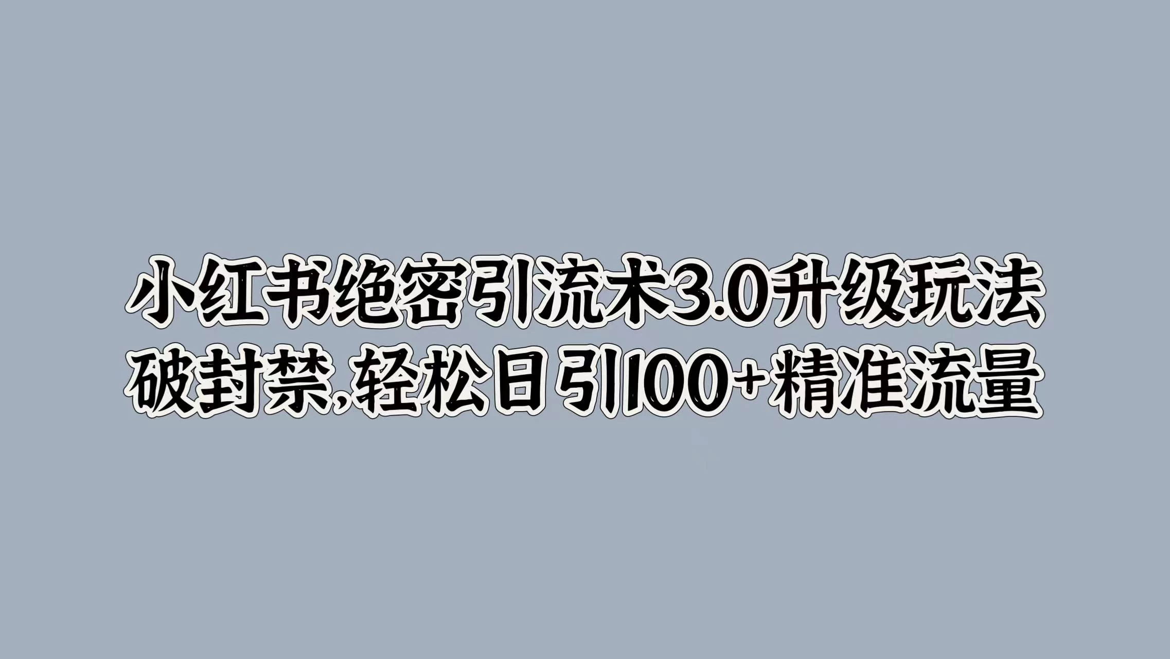 小红书绝密引流术3.0升级玩法，破封禁，轻松日引100+精准流量 - 网创&网赚 项目教学