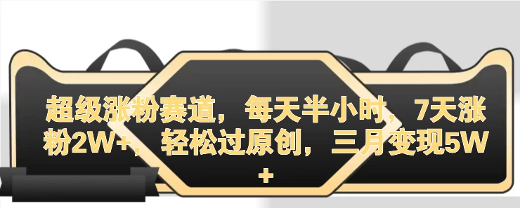 超级涨粉赛道，每天半小时，7天涨粉2W+，轻松过原创，三月变现5W+ - 网创&网赚 项目教学