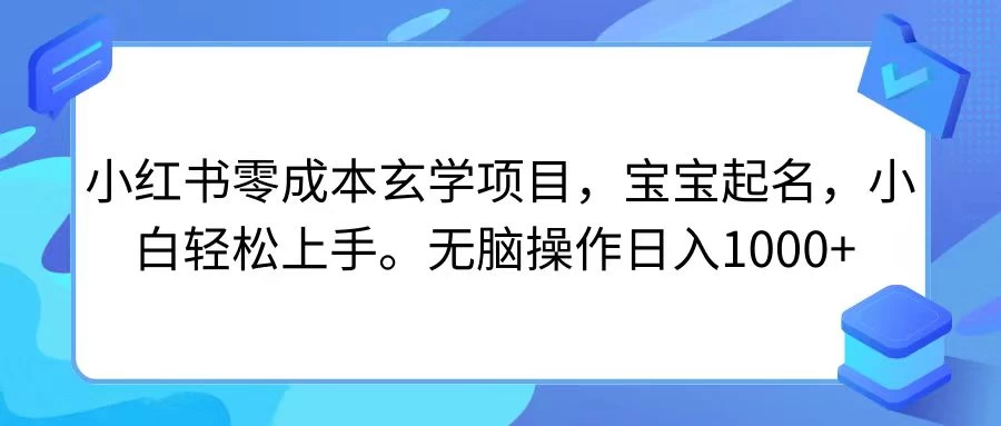 小红书零成本玄学项目，宝宝起名，小白轻松上手，无脑操作日入1000+ - 网创&网赚 项目教学