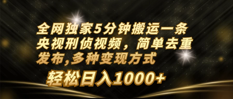全网独家5分钟搬运一条央视刑侦视频，简单去重发布，多种变现方式，轻松日入1000+ - 网创&网赚 项目教学