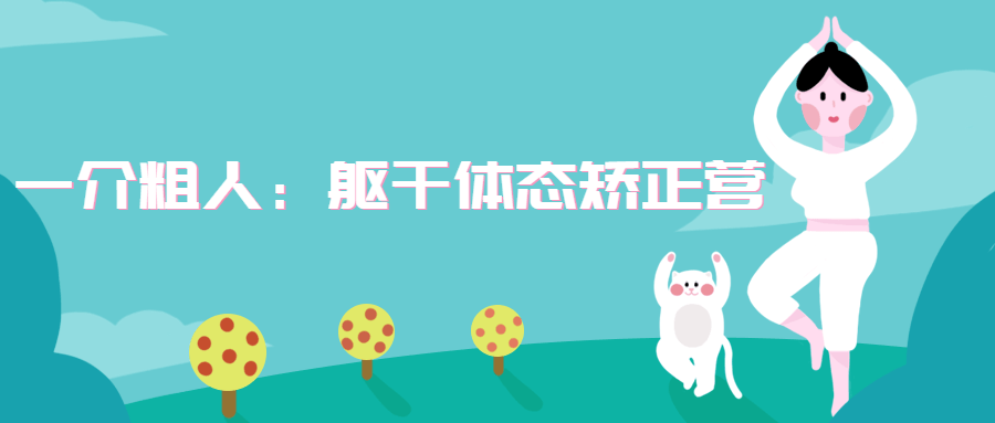 一介粗人：躯干体态矫正营 - 网创&网赚 项目教学