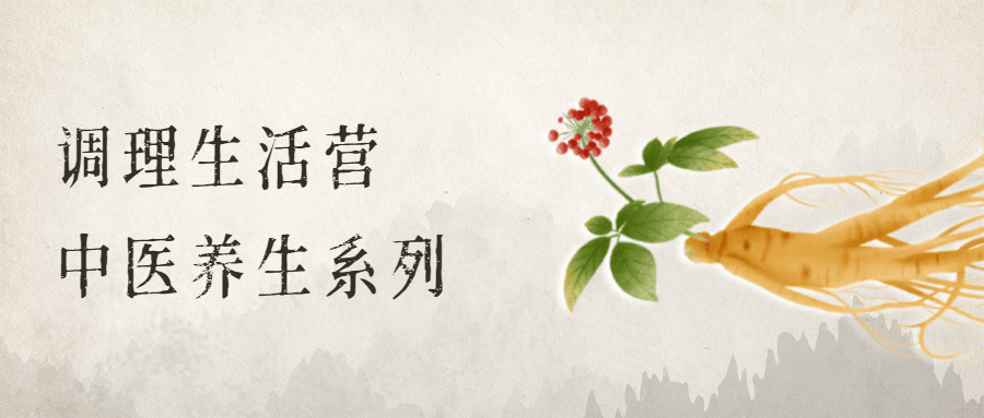 调理生活营：中医养生系列 - 网创&网赚 项目教学