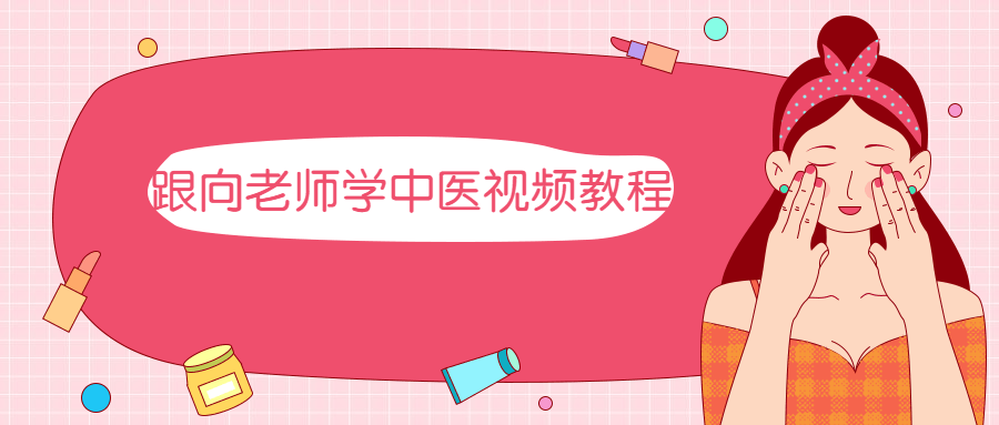 跟向老师学中医视频教程 - 网创&网赚 项目教学