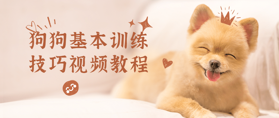 狗狗基本训练技巧视频教程 - 网创&网赚 项目教学
