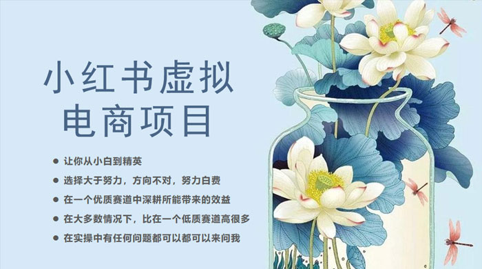 小红书虚拟电商从 0 到 1 ：让你从小白到精英（ 20 节实操课程） - 网创&网赚 项目教学