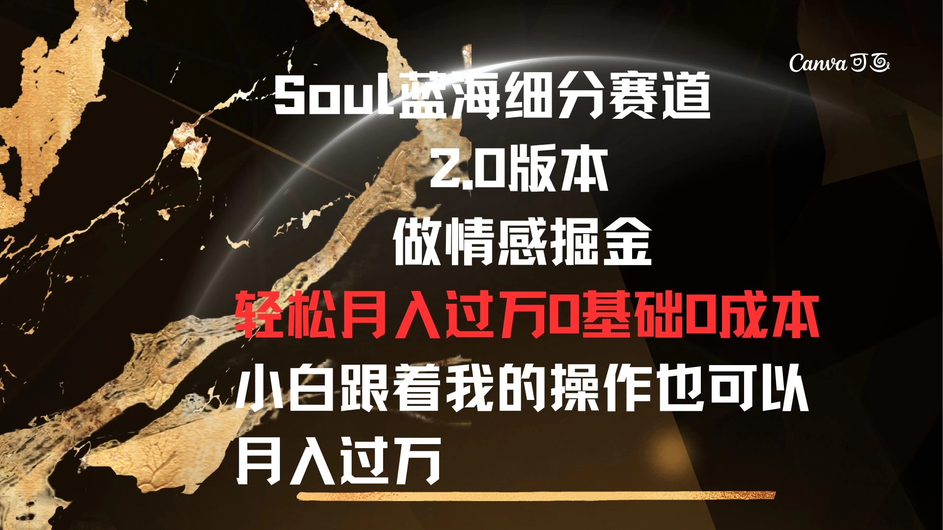 Soul蓝海细分赛道，2.0版本，做情感掘金，轻松月入过万，0基础，0成本，小白跟着我的操作也可以月入过万 - 网创&网赚 项目教学