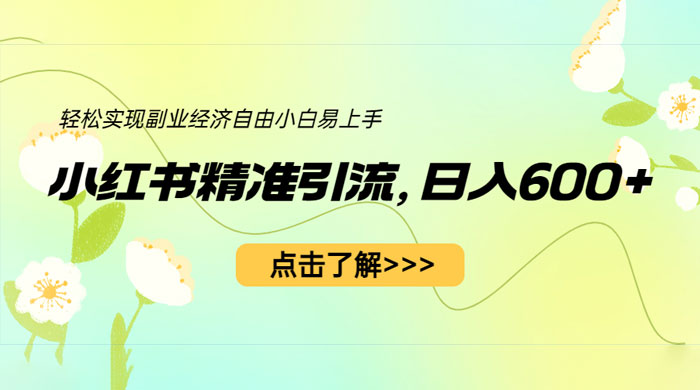 小红书精准引流：轻松实现副业经济自由（教程 + 1153G 资源） - 网创&网赚 项目教学