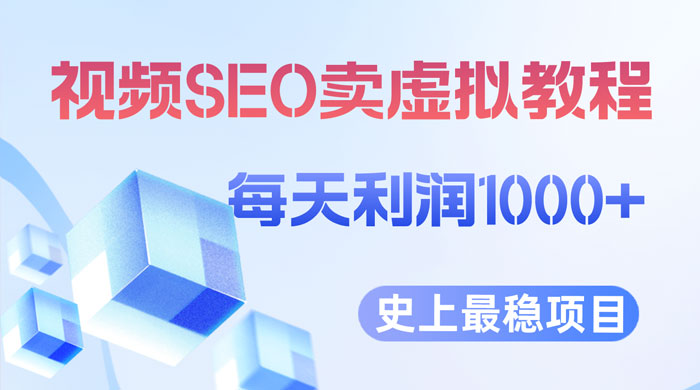 视频 SEO 出售虚拟产品：史上最稳定私域变现项目 - 网创&网赚 项目教学