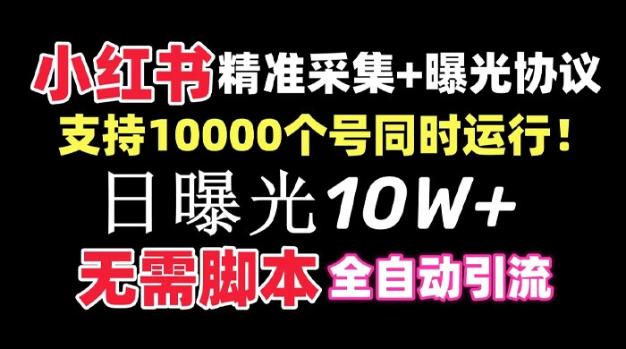 价值 10 万的小红书全自动采集+引流协议一体版！无需手机，支持 10000 个账号同时运行 - 网创&网赚 项目教学
