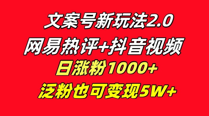 文案号新玩法，网易热评+抖音文案 一周轻松涨粉 5W+ 多种变现模式 - 网创&网赚 项目教学