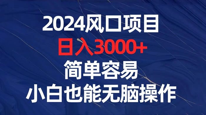 2024 风口项目，日入 3000+，简单容易，小白也能无脑操作 - 网创&网赚 项目教学