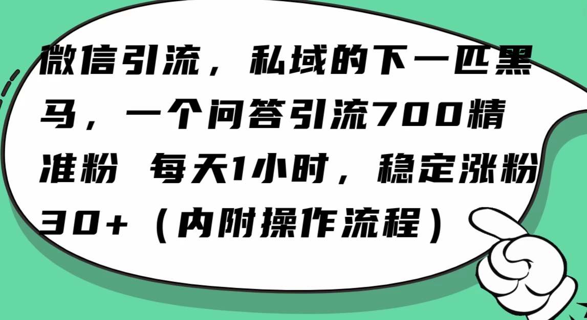 利用 AI 回答微信“问一问”，私域的下一匹黑马，一个问答引流 100 精准粉 - 网创&网赚 项目教学