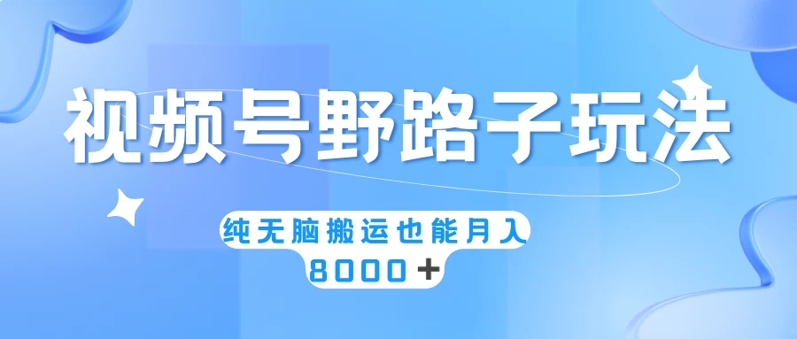 视频号野路子玩法，纯无脑搬运小白可做，月入8000+ - 网创&网赚 项目教学