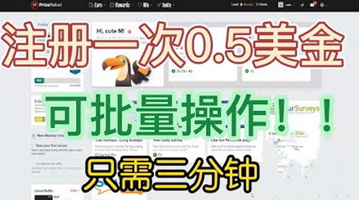 国外注册一次 0.5 美金项目：只需三分钟无脑操作、小白工作室福利 - 网创&网赚 项目教学