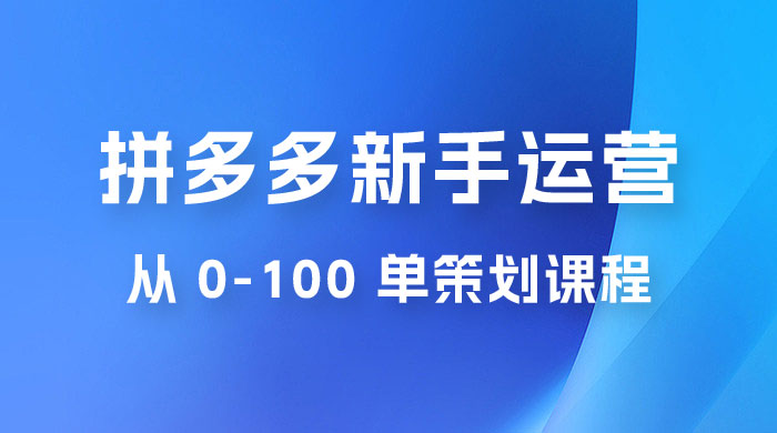 拼多多新手运营从 0-100 单策划课程，从零起步到爆单详细教程 - 网创&网赚 项目教学