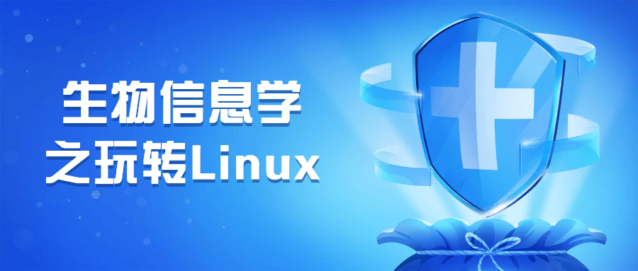生物信息学之玩转Linux - 网创&网赚 项目教学