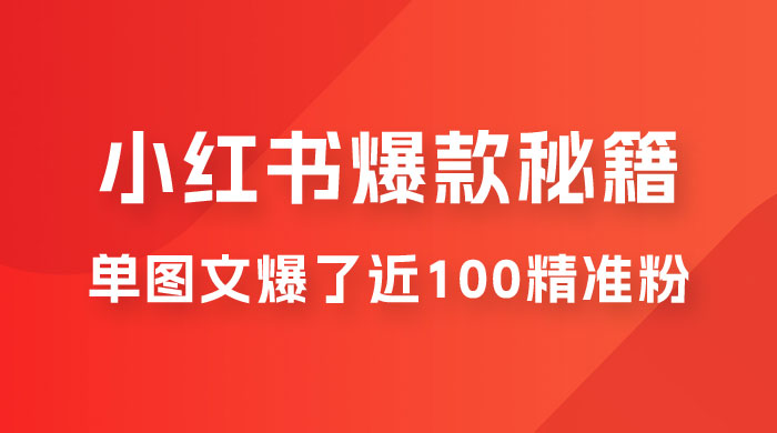 小红书单篇图文连爆秘籍，单图文爆了近 100 精准粉 - 网创&网赚 项目教学