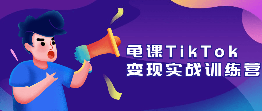 龟课TikTok变现实战训练营 - 网创&网赚 项目教学