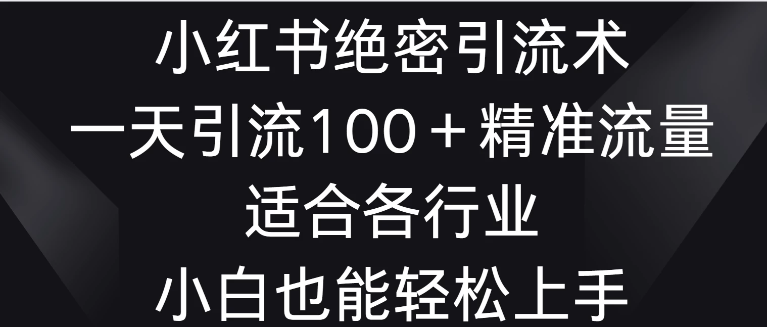 小红书绝密引流术，一天引流100＋精准流量，适合各个行业，小白也能轻松上手 - 网创&网赚 项目教学