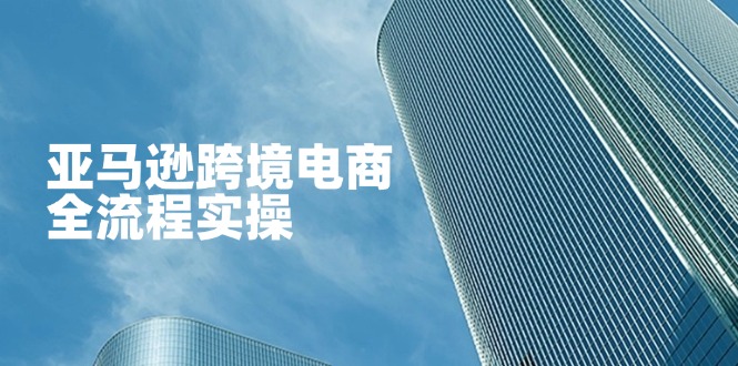 (14252期)亚马逊跨境电商全流程实操,教你从零开始,掌握店铺运营与广告技巧-HEIHUIX