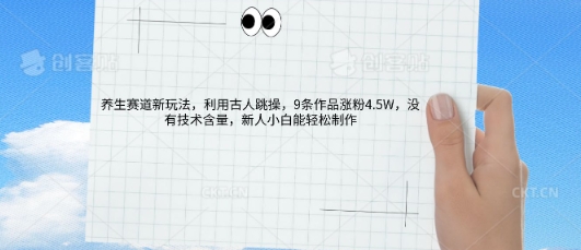 AI养生赛道新玩法，10条作品涨粉5.2W，操作简单，新人小白能轻松制作-HEIHUIX