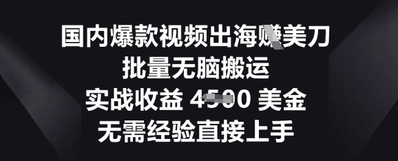 国内爆款视频出海挣美刀,批量无脑搬运,实战收益4.5k,无需经验直接上手-HEIHUIX