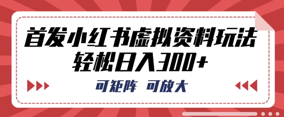 首发小红书虚拟资料玩法，可矩阵，可放大，轻松日入3张-HEIHUIX
