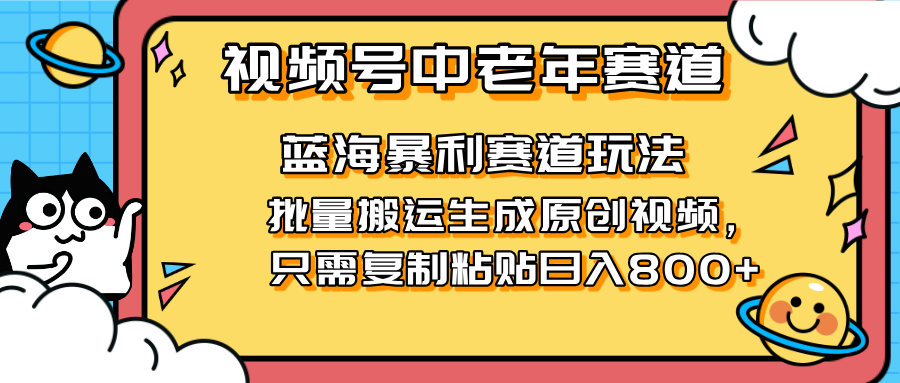 (14314期)2025视频号中老年短视频蓝海暴利风口!复制粘贴搬运视频单日赚800+,无...-HEIHUIX