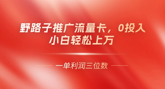 0门槛推广流量卡,一单收益上百,0投入,小白月入过W-HEIHUIX