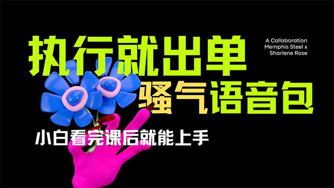 （14170期）爆火全网的开车导航骚气语音包,只要执行就出单，小白看完课程就能实操...-HEIHUIX