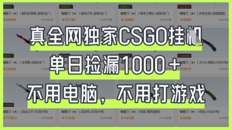 真全网独家CSGO挂G,单日捡漏1k+【揭秘】-HEIHUIX