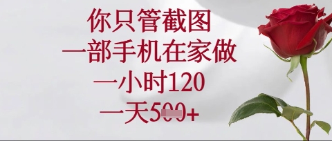 你只管截图,一部手机在家操作,一小时120.一天5张【揭秘】-HEIHUIX